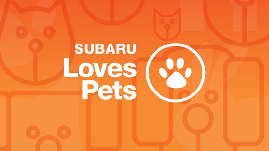 SubaruDemo4 in Hermiston OR